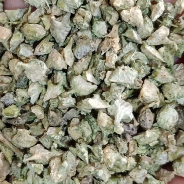 刺蒺藜白蒺藜野生货实物拍摄无美颜质量保证售后无忧