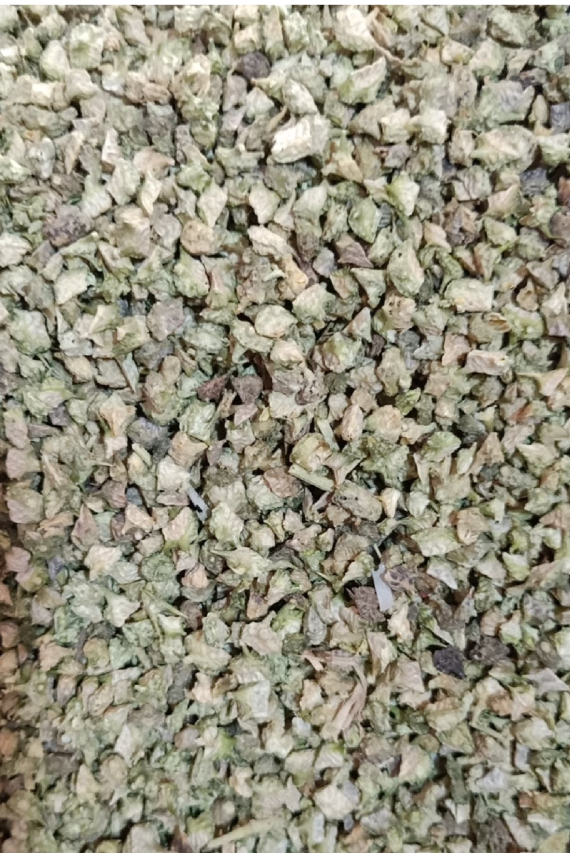 刺蒺藜白蒺藜野生货实物拍摄无美颜质量保证售后无忧
