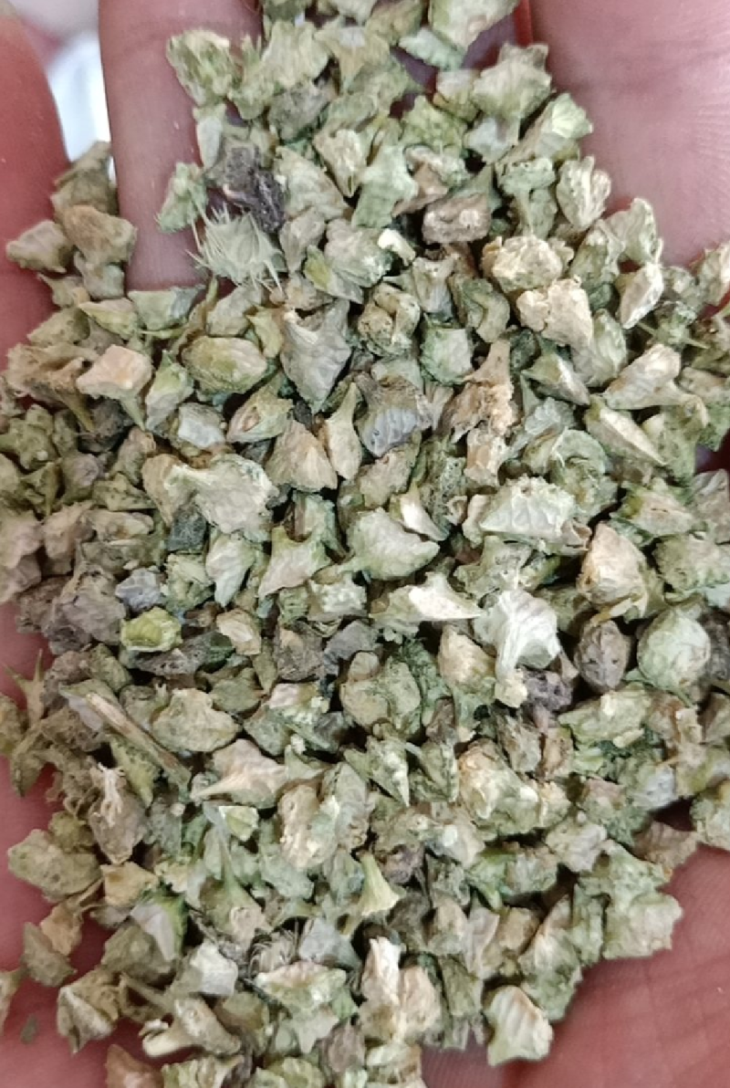 刺蒺藜白蒺藜野生货实物拍摄无美颜质量保证售后无忧