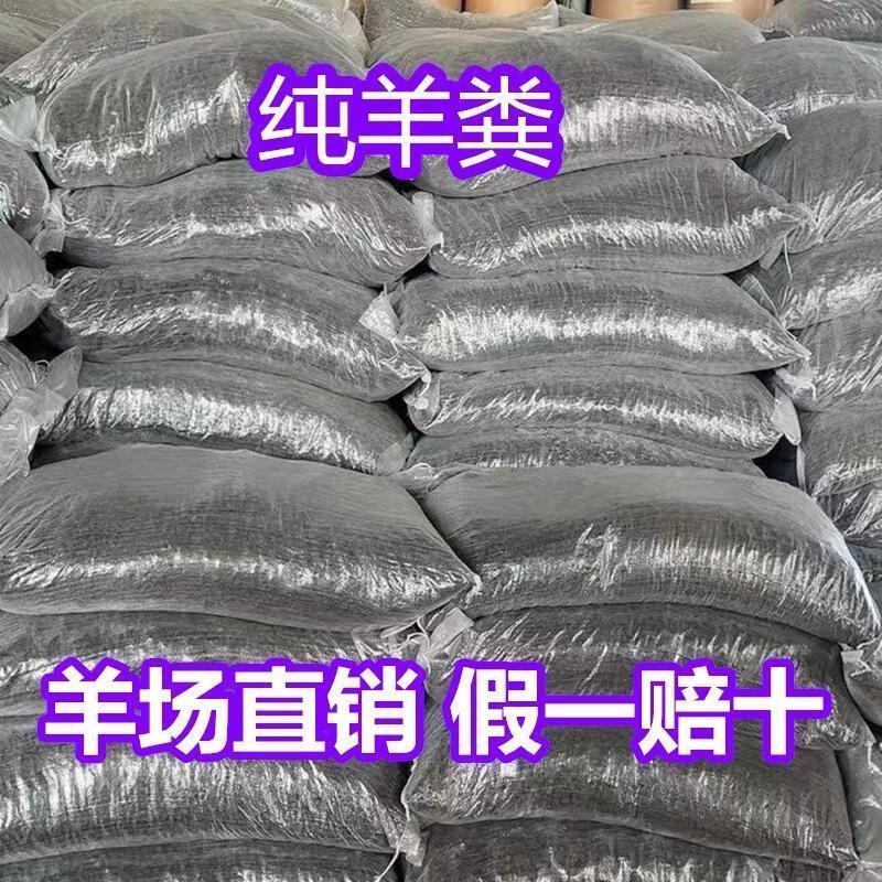 羊场内现货