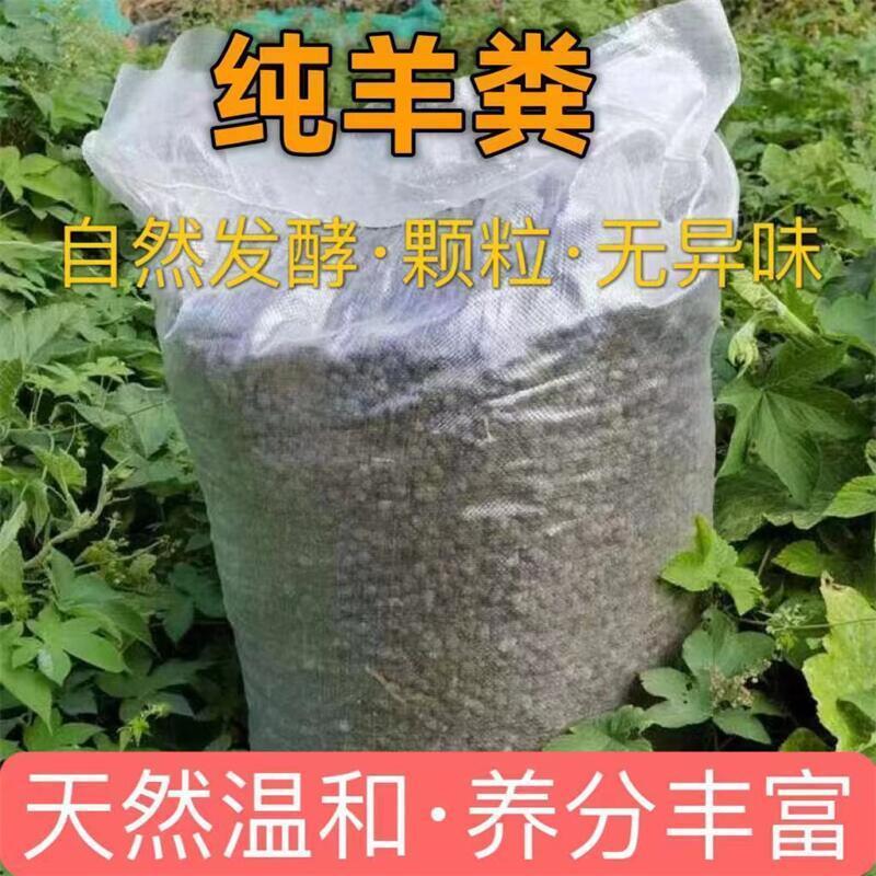 羊场内现货
