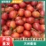 自家果园优质番茄质量上乘量大从优可常年供货，支持全国发货