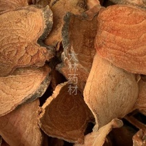 过江龙【包邮】三斤起发货可批量可零售量大从优