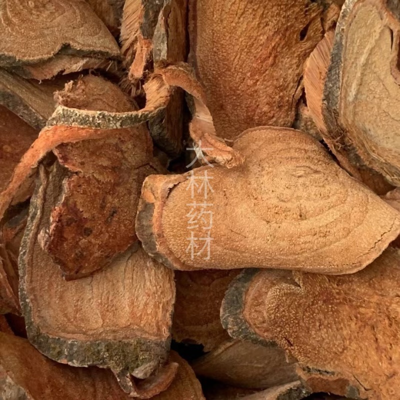 过江龙【包邮】三斤起发货可批量可零售量大从优