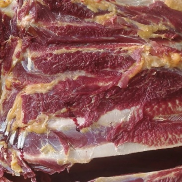 牦牛肉