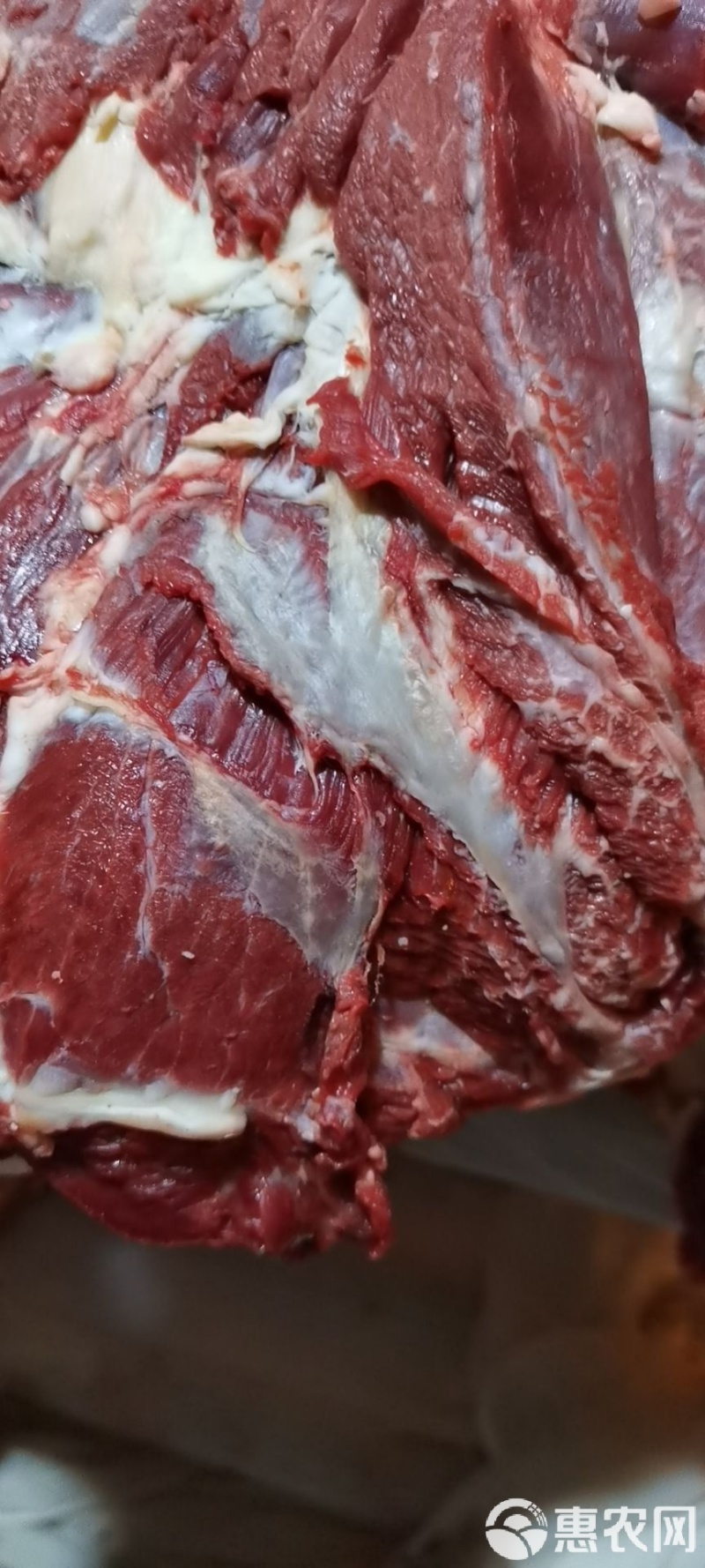 牦牛肉