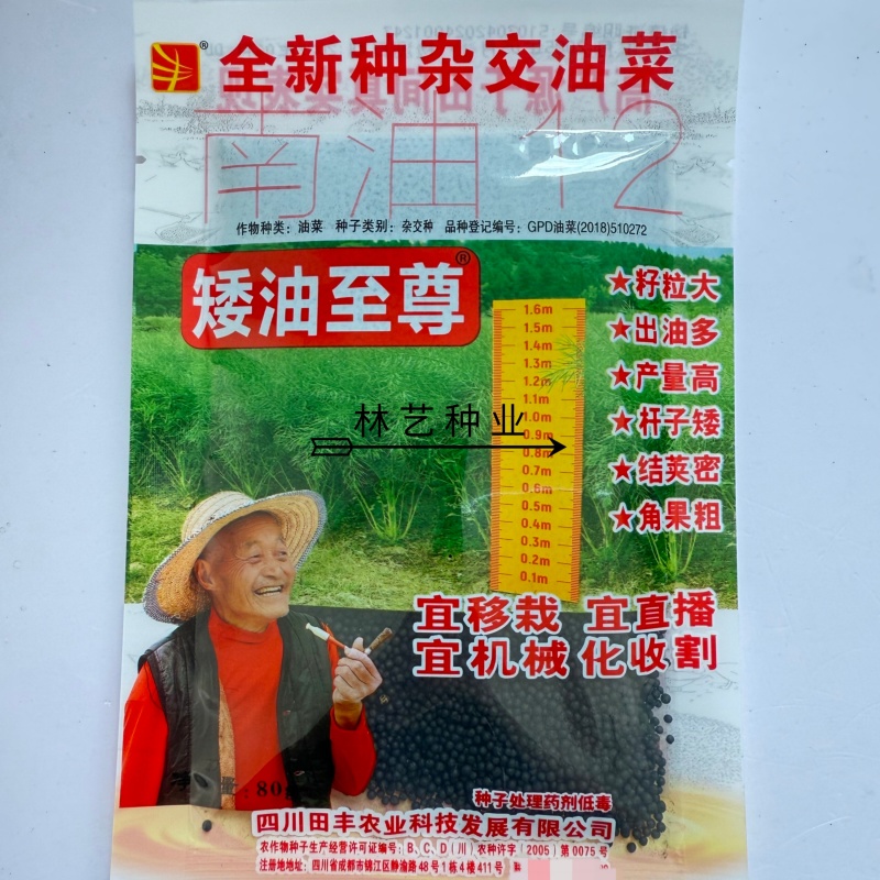 矮油至尊油菜种子榨油耐寒早熟矮杆抗倒宜直播化收割