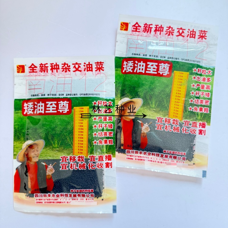 矮油至尊油菜种子榨油耐寒早熟矮杆抗倒宜直播化收割
