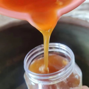 广西灵山荔枝蜜