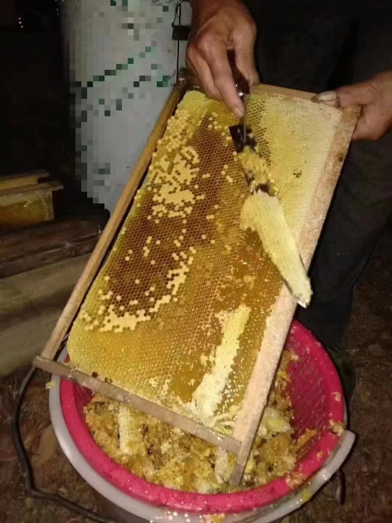 广西灵山荔枝蜜