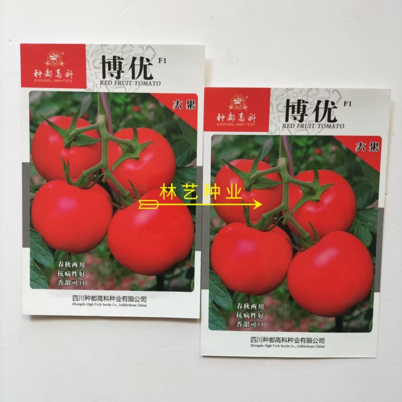 博优番茄种子口感好无限生长粉亮大果高产抗病春秋播