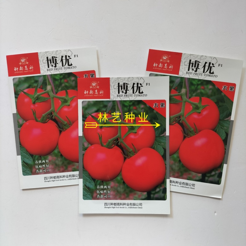 博优番茄种子口感好无限生长粉亮大果高产抗病春秋播