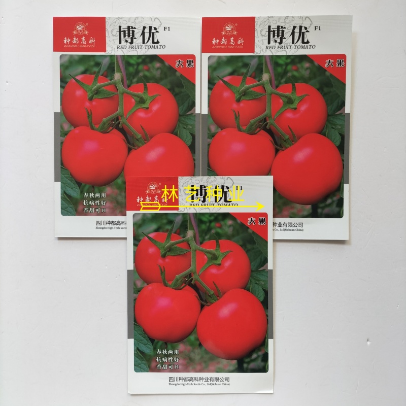 博优番茄种子口感好无限生长粉亮大果高产抗病春秋播
