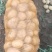 黄心土豆