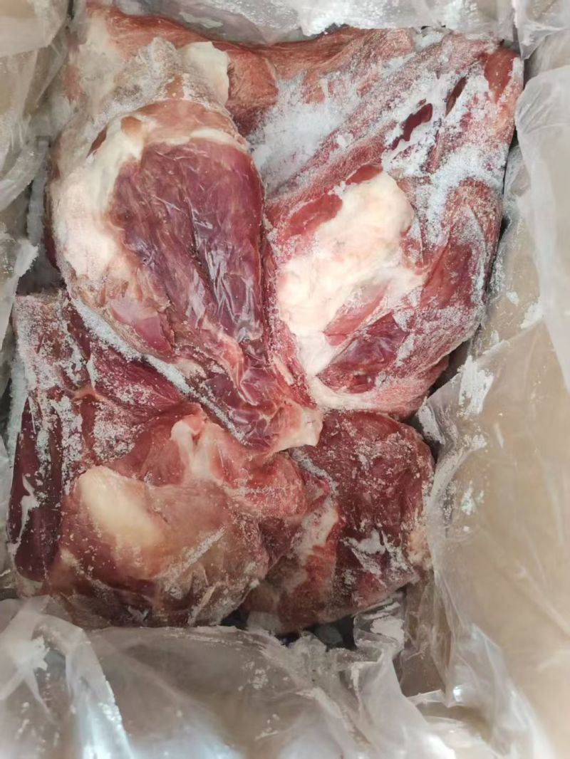 母猪多肉扇子骨