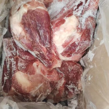 母猪多肉扇子骨
