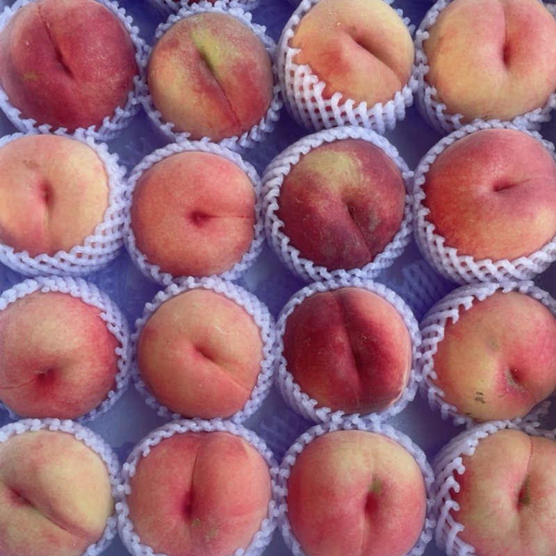 水蜜桃