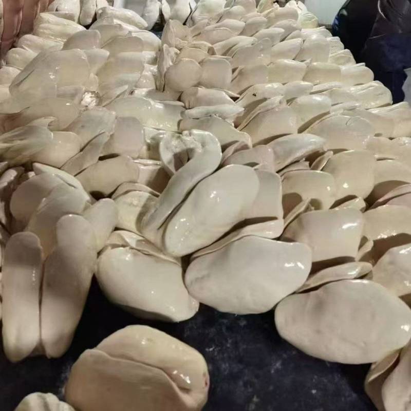 法式A级B级鹅肝