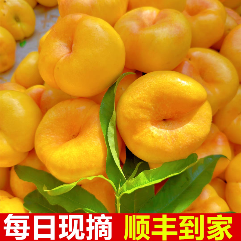 平谷黄油蟠桃，现摘现发，顺丰/京东/EMS，可一件代发