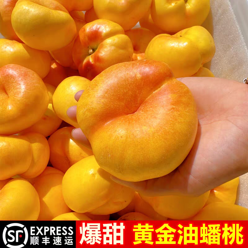 平谷黄油蟠桃，现摘现发，顺丰/京东/EMS，可一件代发