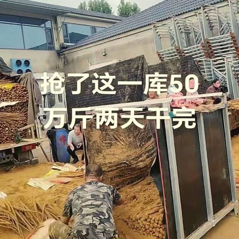山药大货架