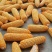 粮食玉米杂交玉米干玉米鲜玉米（玉米粑粑）