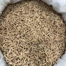 【太子参】原产地直销颜色好品质高纯干货