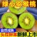 陕西猕猴桃对接各大平台绿盟机器筛选，果子均匀