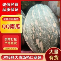 QQ南瓜新野南瓜种植千亩基地只卖南瓜品种齐全