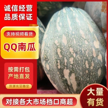 QQ南瓜新野南瓜种植千亩基地只卖南瓜品种齐全