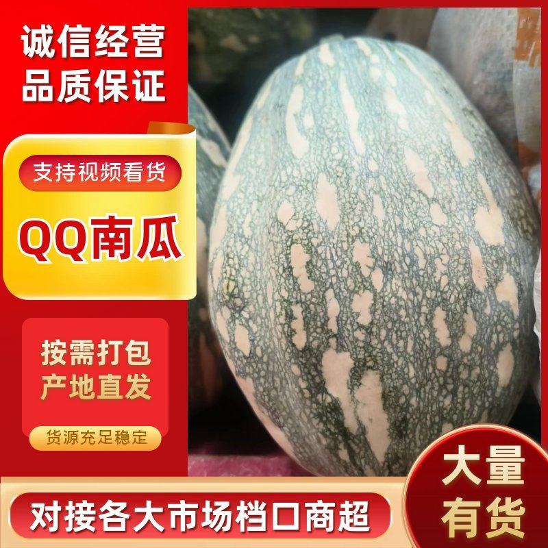 QQ南瓜新野南瓜种植千亩基地只卖南瓜品种齐全