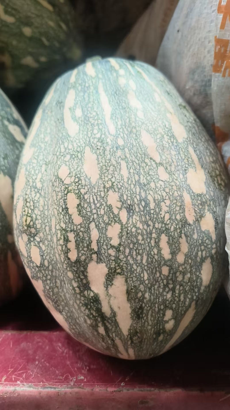 QQ南瓜新野南瓜种植千亩基地只卖南瓜品种齐全