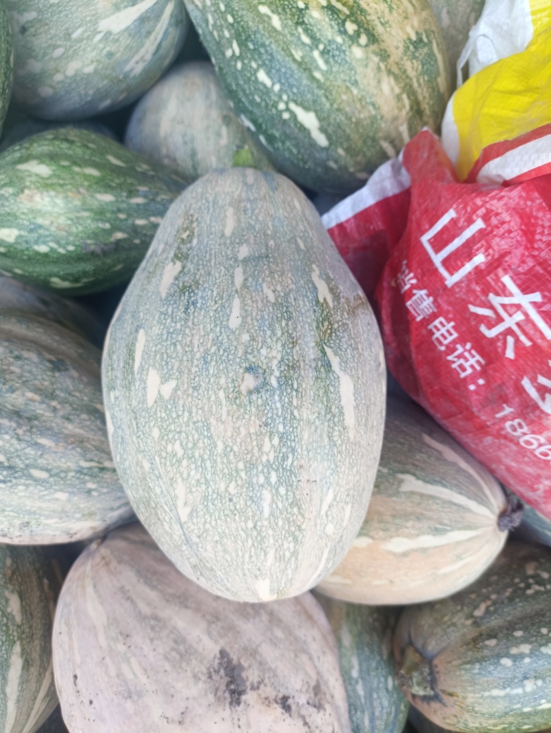 QQ南瓜新野南瓜种植千亩基地只卖南瓜品种齐全