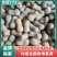 吉冠773南瓜，货量充足奶油南瓜对接全国市场新野南瓜