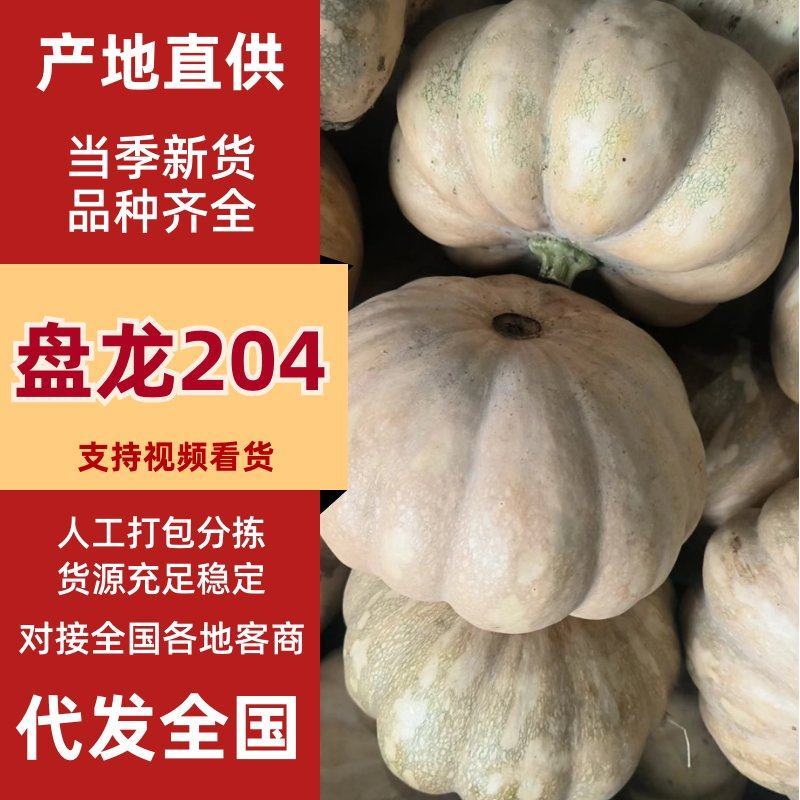 盘龙204南瓜新野磨盘南瓜全国发货对接市场商超加工