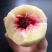 枣油桃，一件代发，社区团购，各大电商！！
