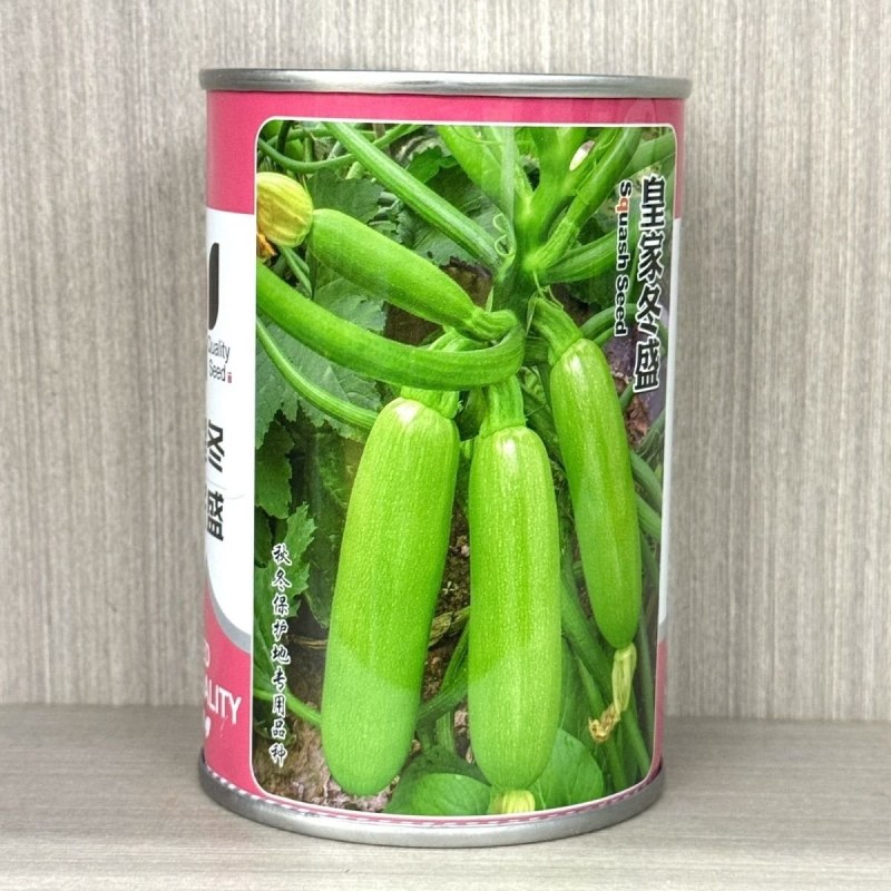 皇家冬盛西葫芦种子耐寒越冬秋冬茬西葫芦瓜皮翠绿油亮顺直耐