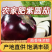 山东茄子/精品圆茄/紫光圆茄/专业对接/批发市场/电商/