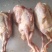 鸽子肉大量有货