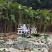 通草苗一亩地500株起大通草苗通草营养袋苗通草杯苗