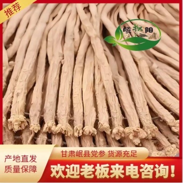 【实力商家】精品甘肃白条党参岷县党参产地直发欢迎联系