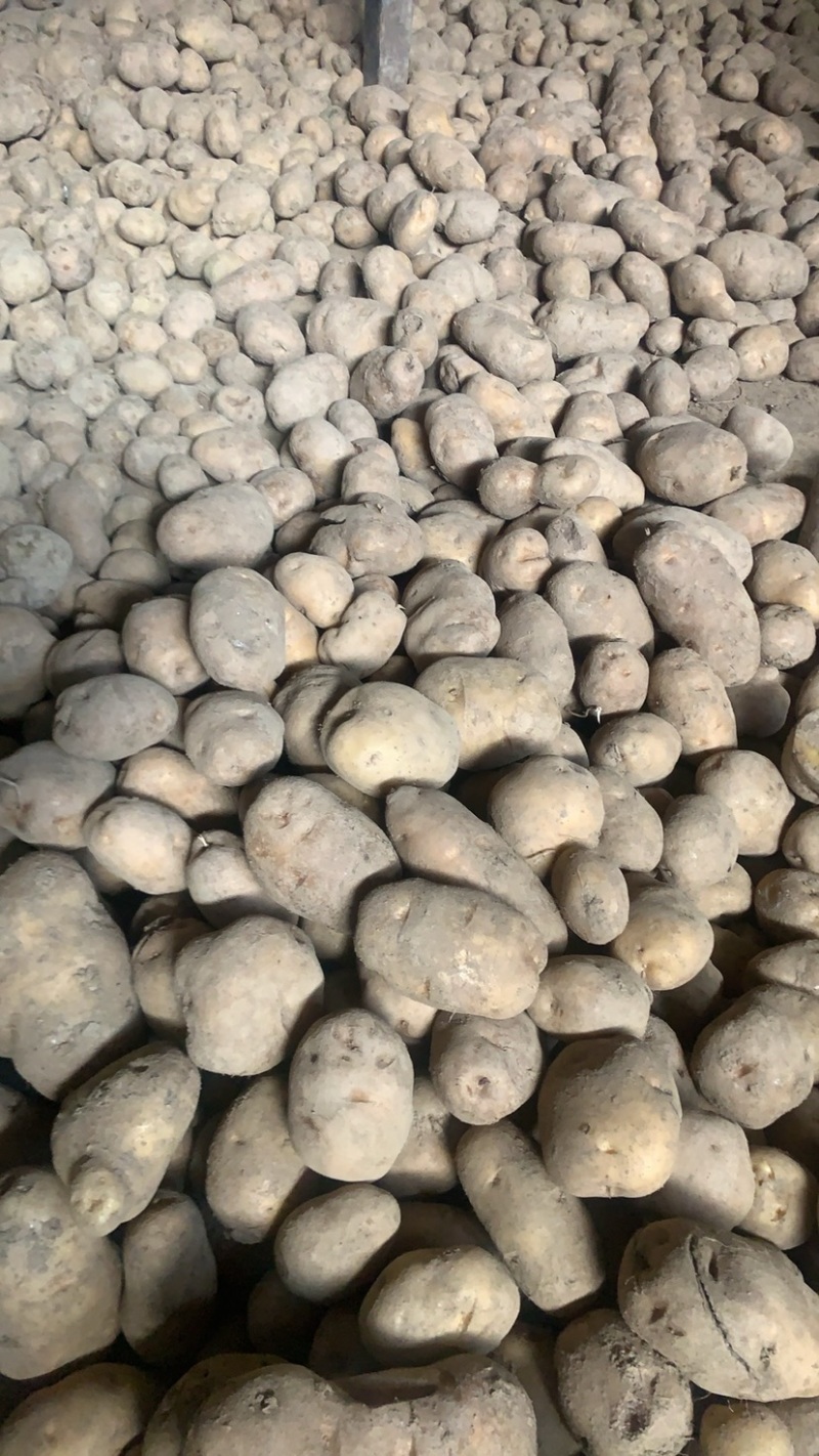 恩施马尔科