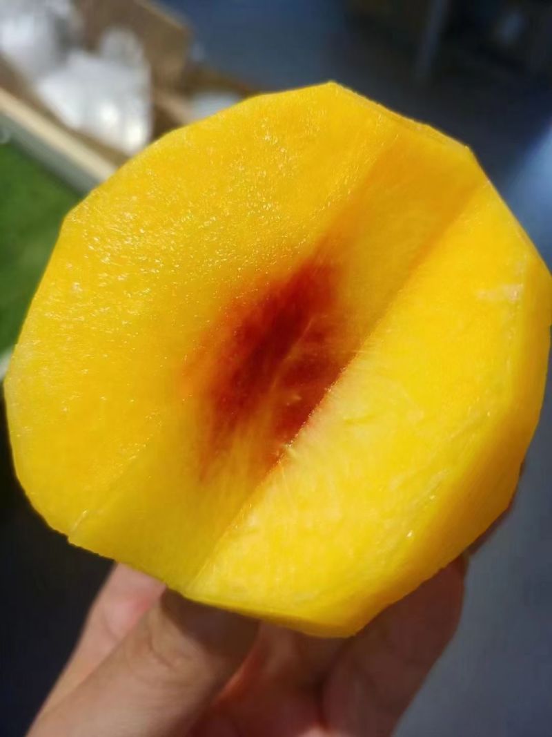 锦绣黄桃