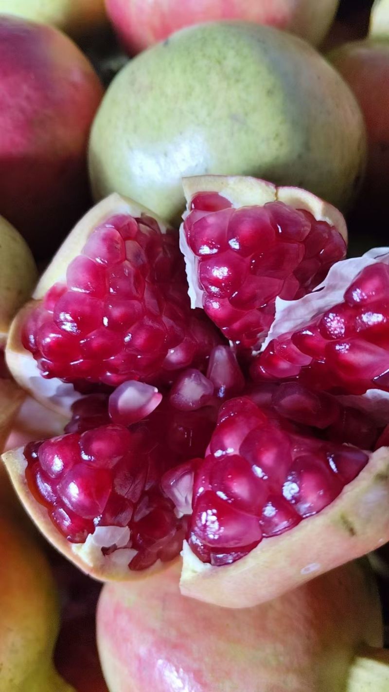 【品质】大凉山尼斯软籽石榴产地直供对接全国批发电商商超