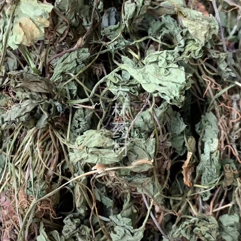 积雪草【包邮】三斤起发货可批量可零售量大从优