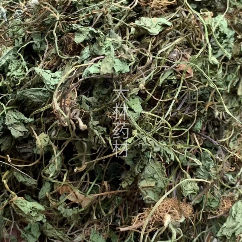 积雪草【包邮】三斤起发货可批量可零售量大从优