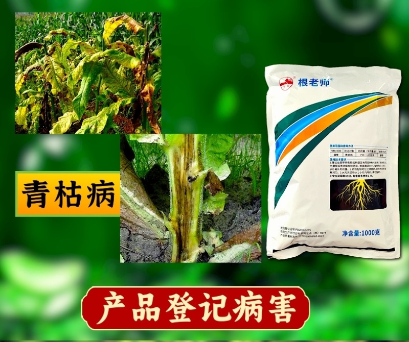 52%氯溴异氰尿酸硫酸铜1000克青枯病根腐病枯萎病