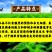 52%氯溴异氰尿酸硫酸铜1000克青枯病根腐病枯萎病