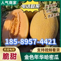 新疆吐鲁番金色年华哈密瓜西州蜜17号伽师八六王哈密瓜
