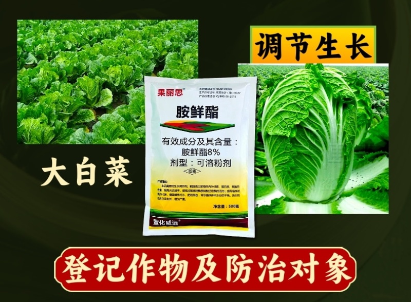 8%胺鲜酯植物生长调节剂低温促进生长抗逆促进脱青